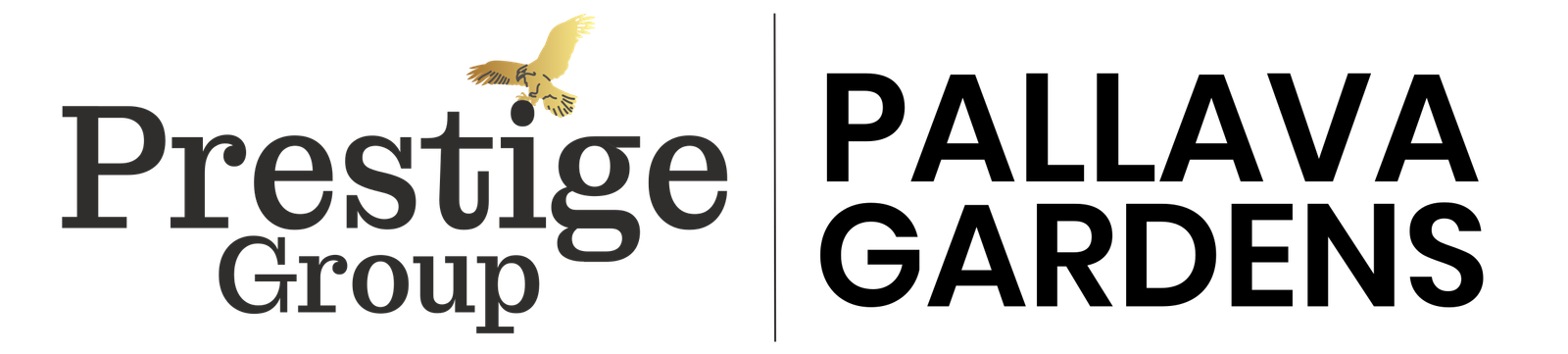 New Launch